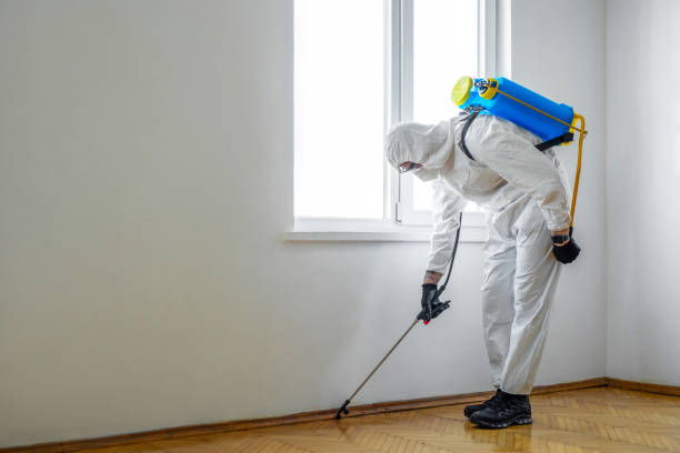 Best Pest Control for Warehouses  in Eagle Lake, WI